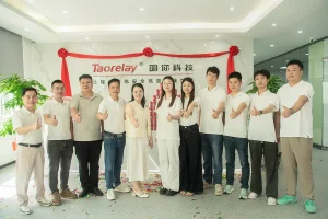 relay manufacturers in china